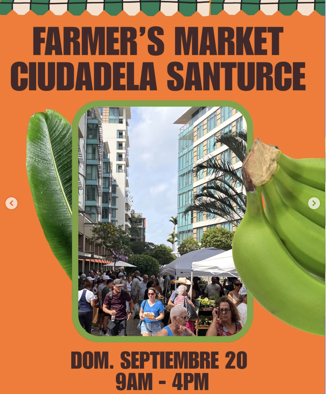 Farmer's Market | Ciudadela