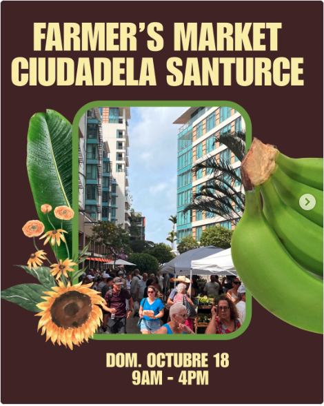Farmer's Market | Ciudadela