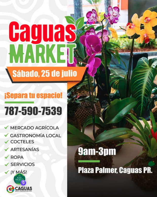 Caguas Markert | Caguas