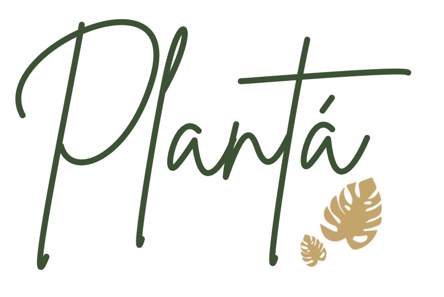 Logo de Plantá PR