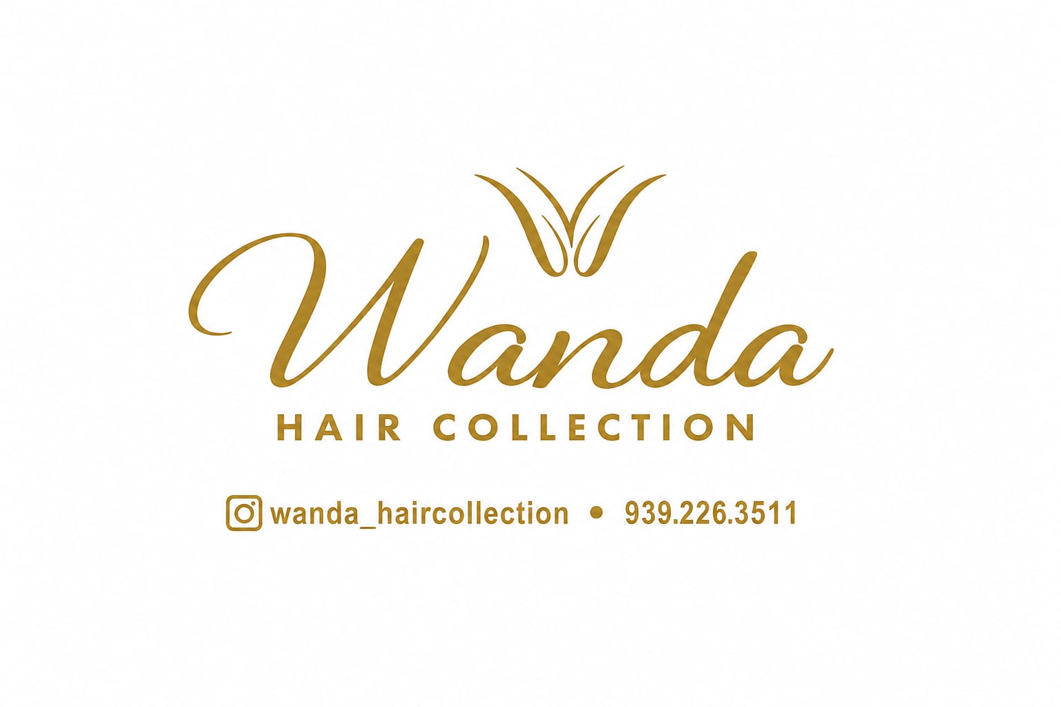 Logo de Wanda Hair Collection