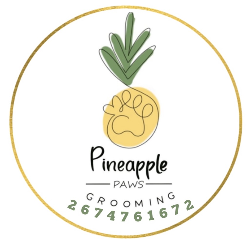 Logo de PineapplePaws
