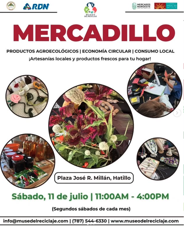 Mercadillo | Hatillo