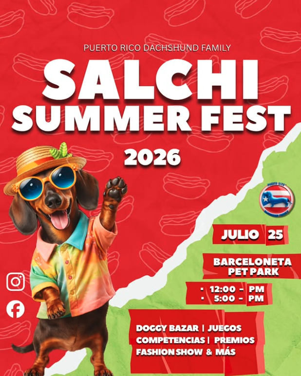 Salchi Summer Fest | Barceloneta
