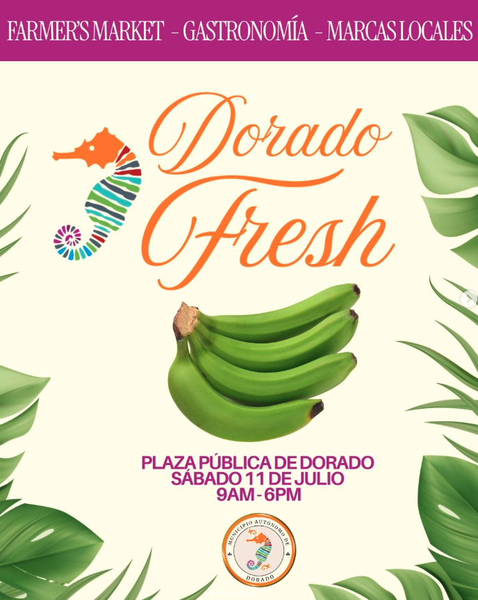 Dorado Fresh | Dorado