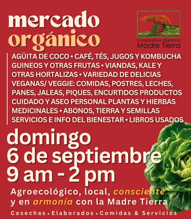 Mercado Orgánico | San Juan