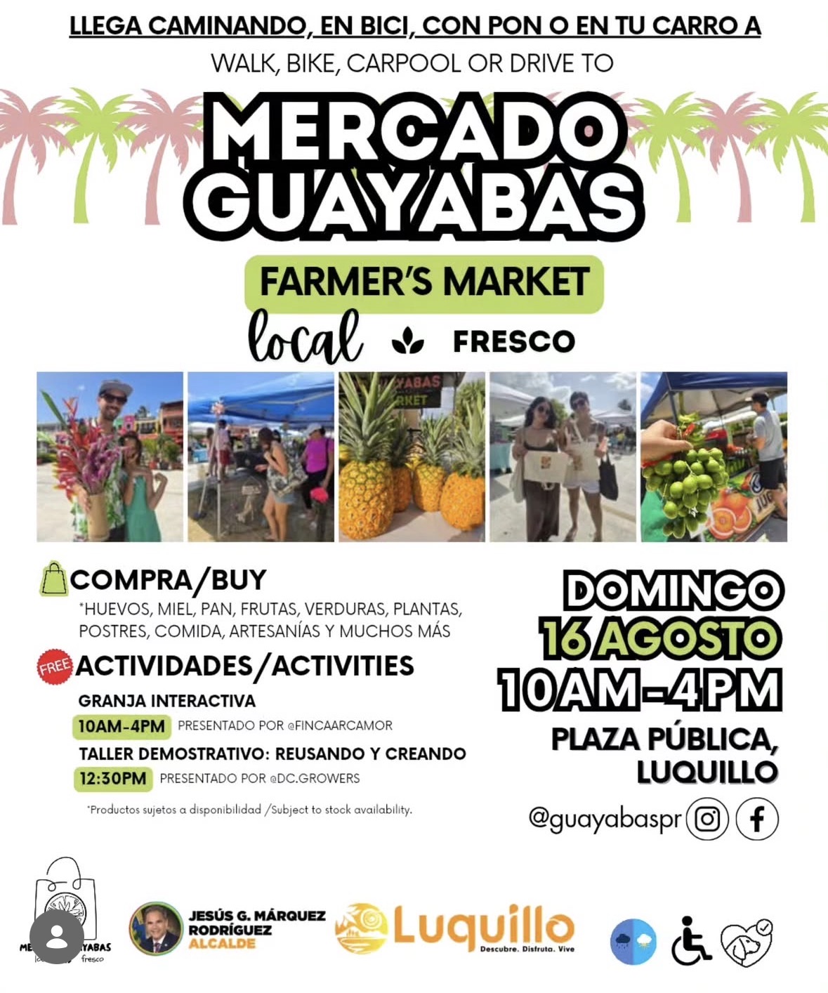 Mercado Guayaba | Luquillo