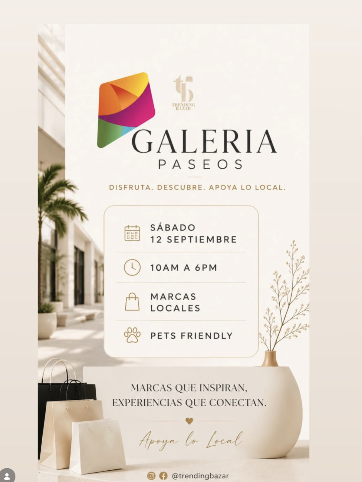 Galeria Paseos Bazar | San Juan